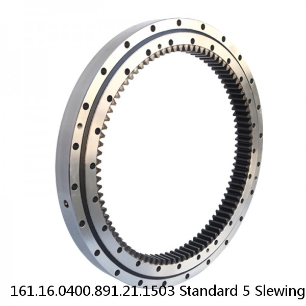 161.16.0400.891.21.1503 Standard 5 Slewing Ring Bearings