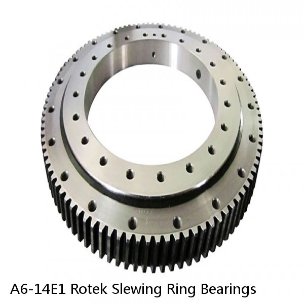 A6-14E1 Rotek Slewing Ring Bearings