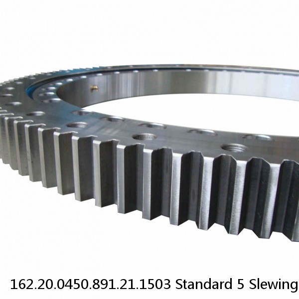162.20.0450.891.21.1503 Standard 5 Slewing Ring Bearings