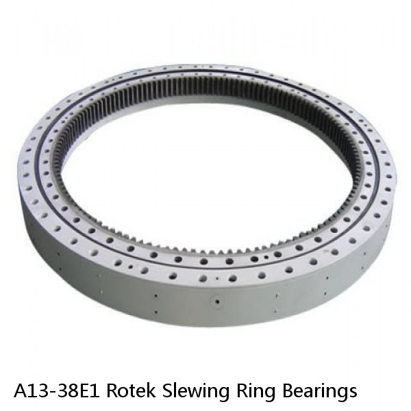 A13-38E1 Rotek Slewing Ring Bearings