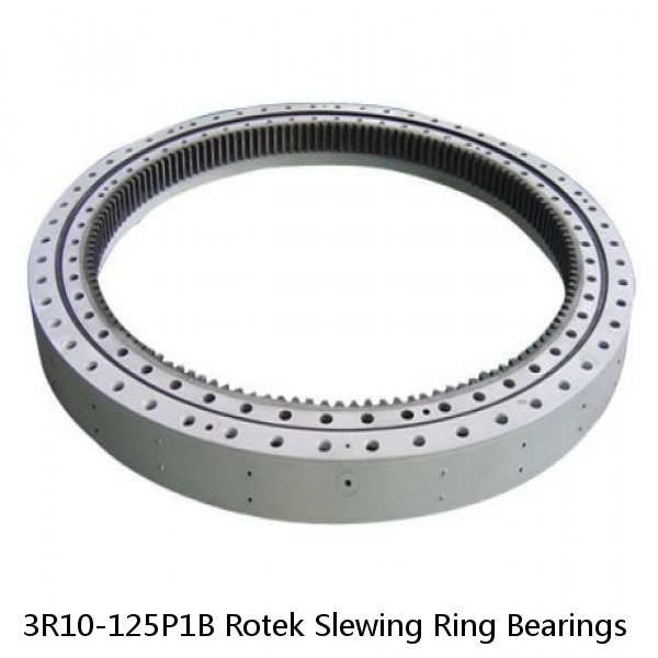 3R10-125P1B Rotek Slewing Ring Bearings