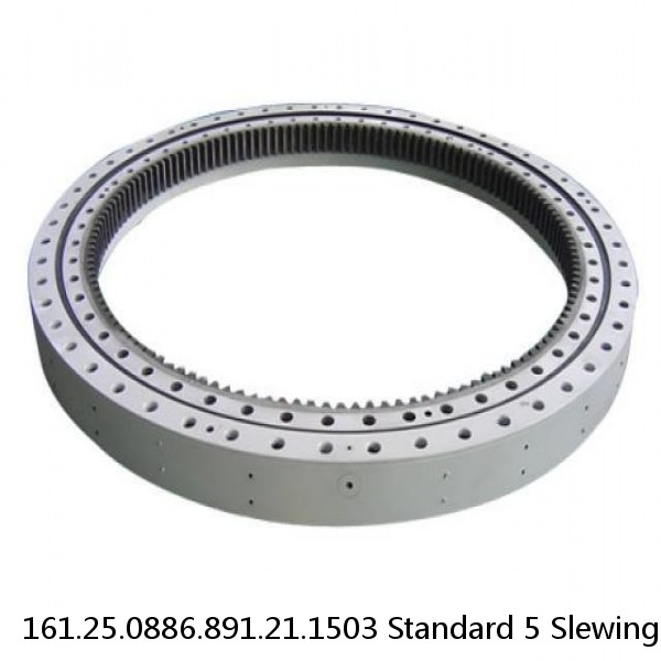 161.25.0886.891.21.1503 Standard 5 Slewing Ring Bearings