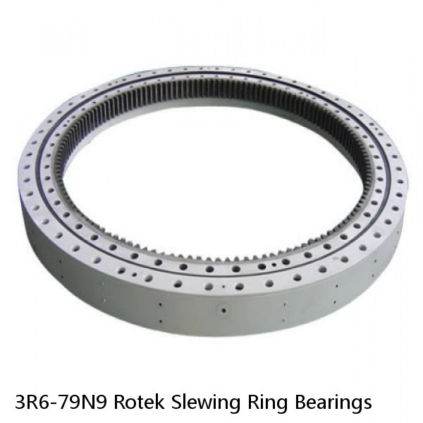 3R6-79N9 Rotek Slewing Ring Bearings