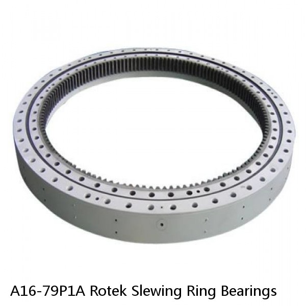 A16-79P1A Rotek Slewing Ring Bearings