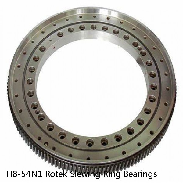 H8-54N1 Rotek Slewing Ring Bearings