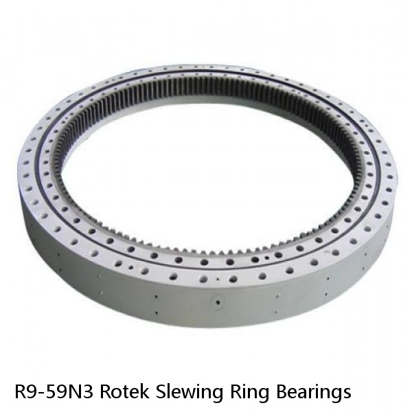 R9-59N3 Rotek Slewing Ring Bearings