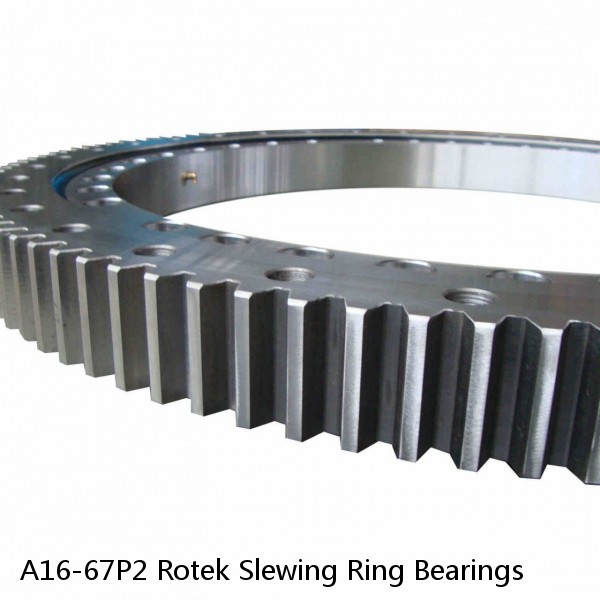 A16-67P2 Rotek Slewing Ring Bearings