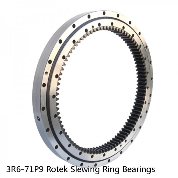 3R6-71P9 Rotek Slewing Ring Bearings