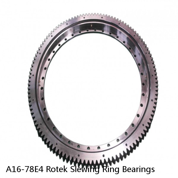 A16-78E4 Rotek Slewing Ring Bearings