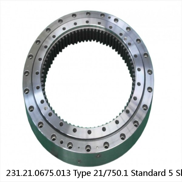 231.21.0675.013 Type 21/750.1 Standard 5 Slewing Ring Bearings