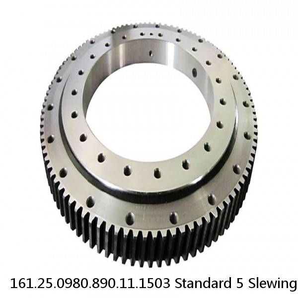 161.25.0980.890.11.1503 Standard 5 Slewing Ring Bearings