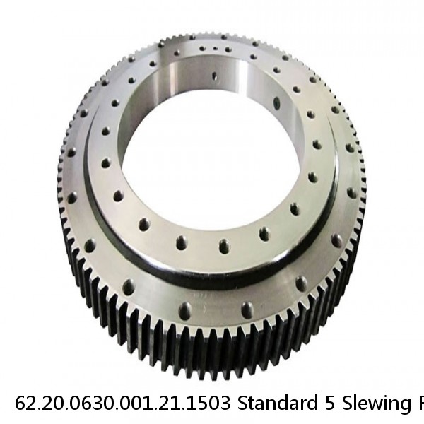 62.20.0630.001.21.1503 Standard 5 Slewing Ring Bearings