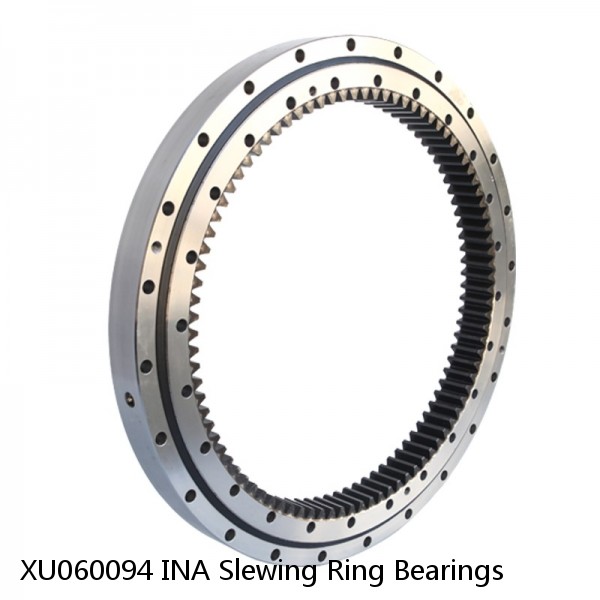 XU060094 INA Slewing Ring Bearings