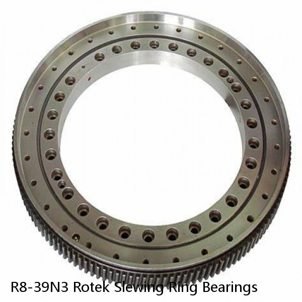 R8-39N3 Rotek Slewing Ring Bearings