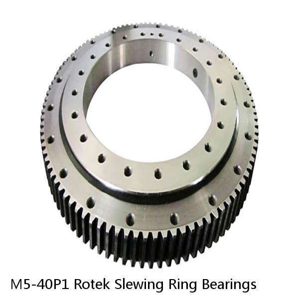 M5-40P1 Rotek Slewing Ring Bearings