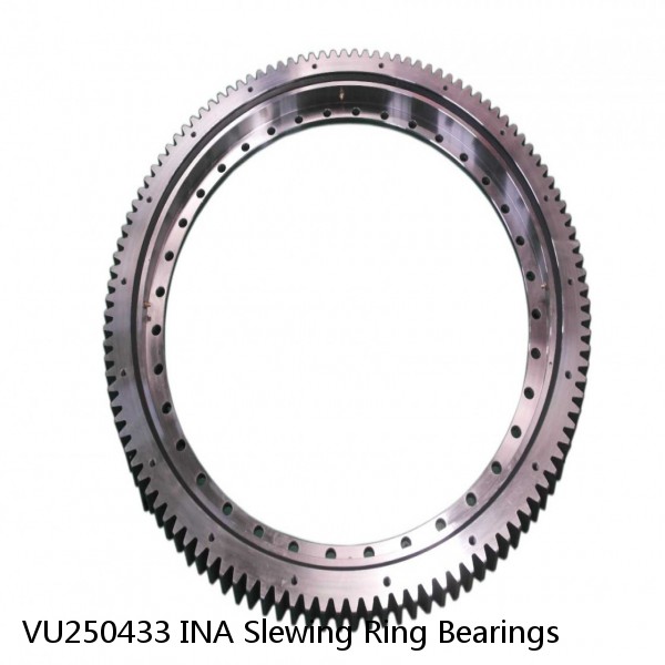 VU250433 INA Slewing Ring Bearings