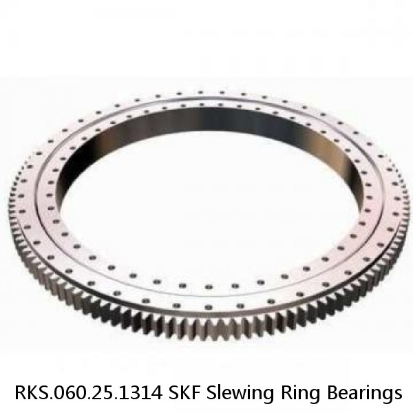 RKS.060.25.1314 SKF Slewing Ring Bearings