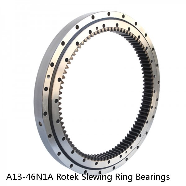 A13-46N1A Rotek Slewing Ring Bearings