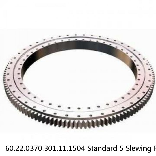 60.22.0370.301.11.1504 Standard 5 Slewing Ring Bearings