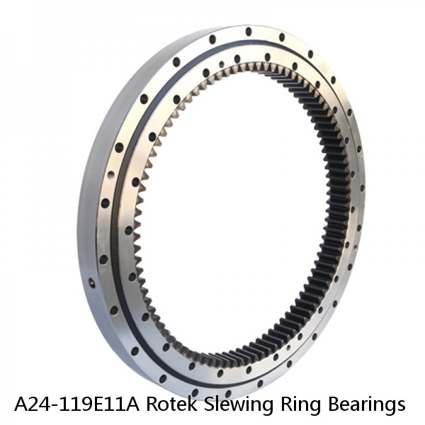 A24-119E11A Rotek Slewing Ring Bearings