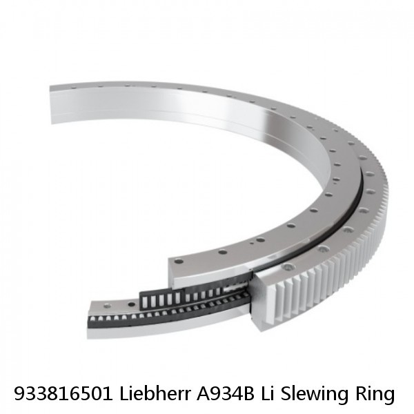 933816501 Liebherr A934B Li Slewing Ring