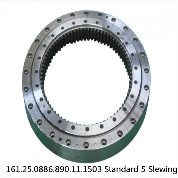 161.25.0886.890.11.1503 Standard 5 Slewing Ring Bearings