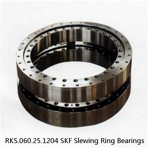 RKS.060.25.1204 SKF Slewing Ring Bearings
