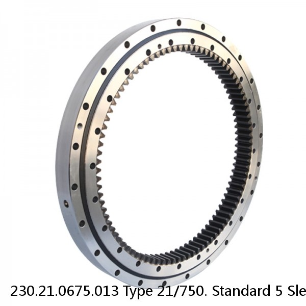 230.21.0675.013 Type 21/750. Standard 5 Slewing Ring Bearings