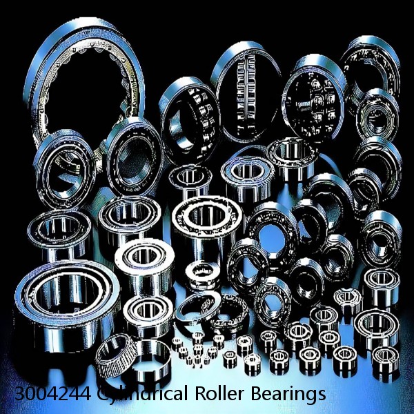 3004244 Cylindrical Roller Bearings