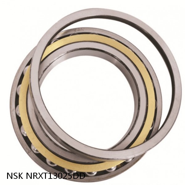 NRXT13025DD NSK Crossed Roller Bearing