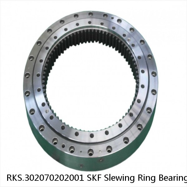 RKS.302070202001 SKF Slewing Ring Bearings