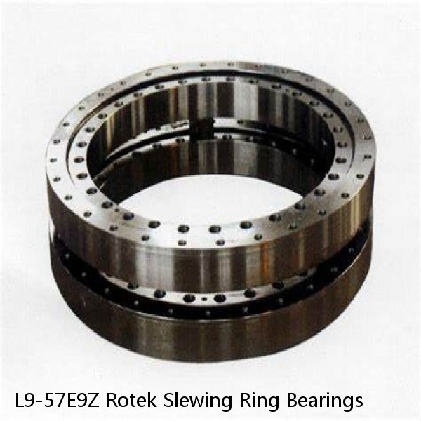 L9-57E9Z Rotek Slewing Ring Bearings