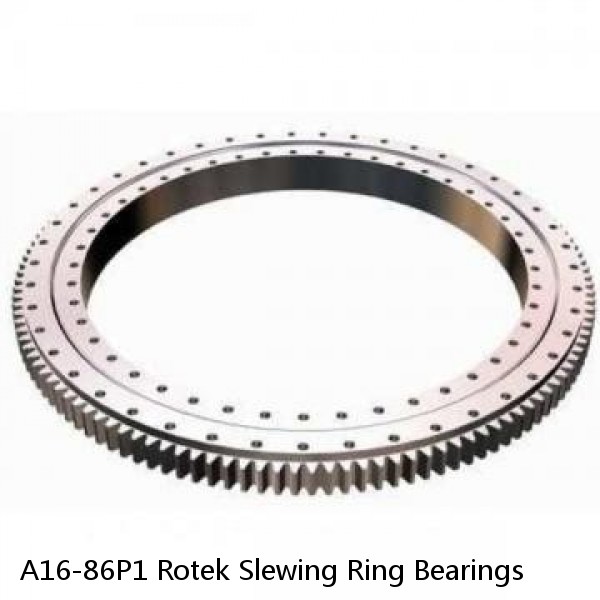 A16-86P1 Rotek Slewing Ring Bearings