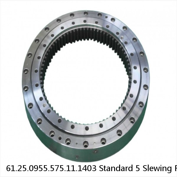 61.25.0955.575.11.1403 Standard 5 Slewing Ring Bearings