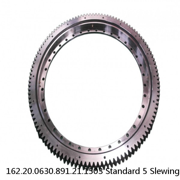 162.20.0630.891.21.1503 Standard 5 Slewing Ring Bearings