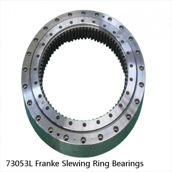 73053L Franke Slewing Ring Bearings