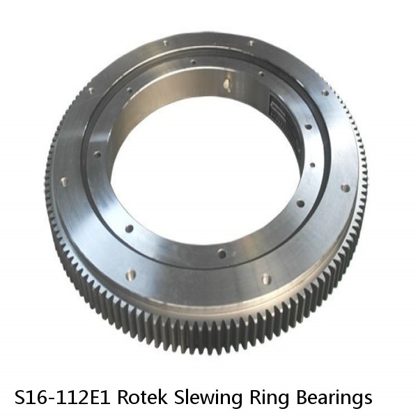 S16-112E1 Rotek Slewing Ring Bearings