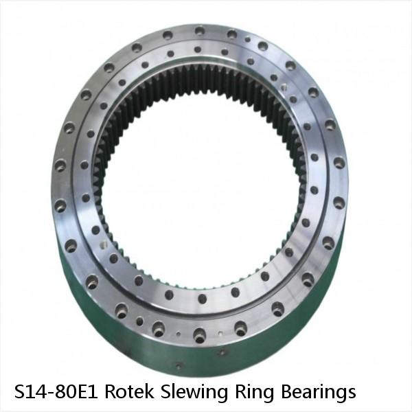 S14-80E1 Rotek Slewing Ring Bearings