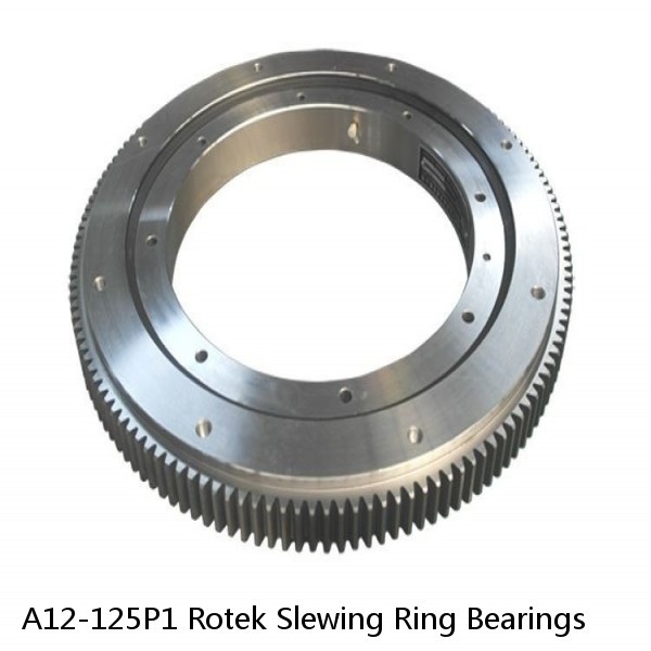 A12-125P1 Rotek Slewing Ring Bearings